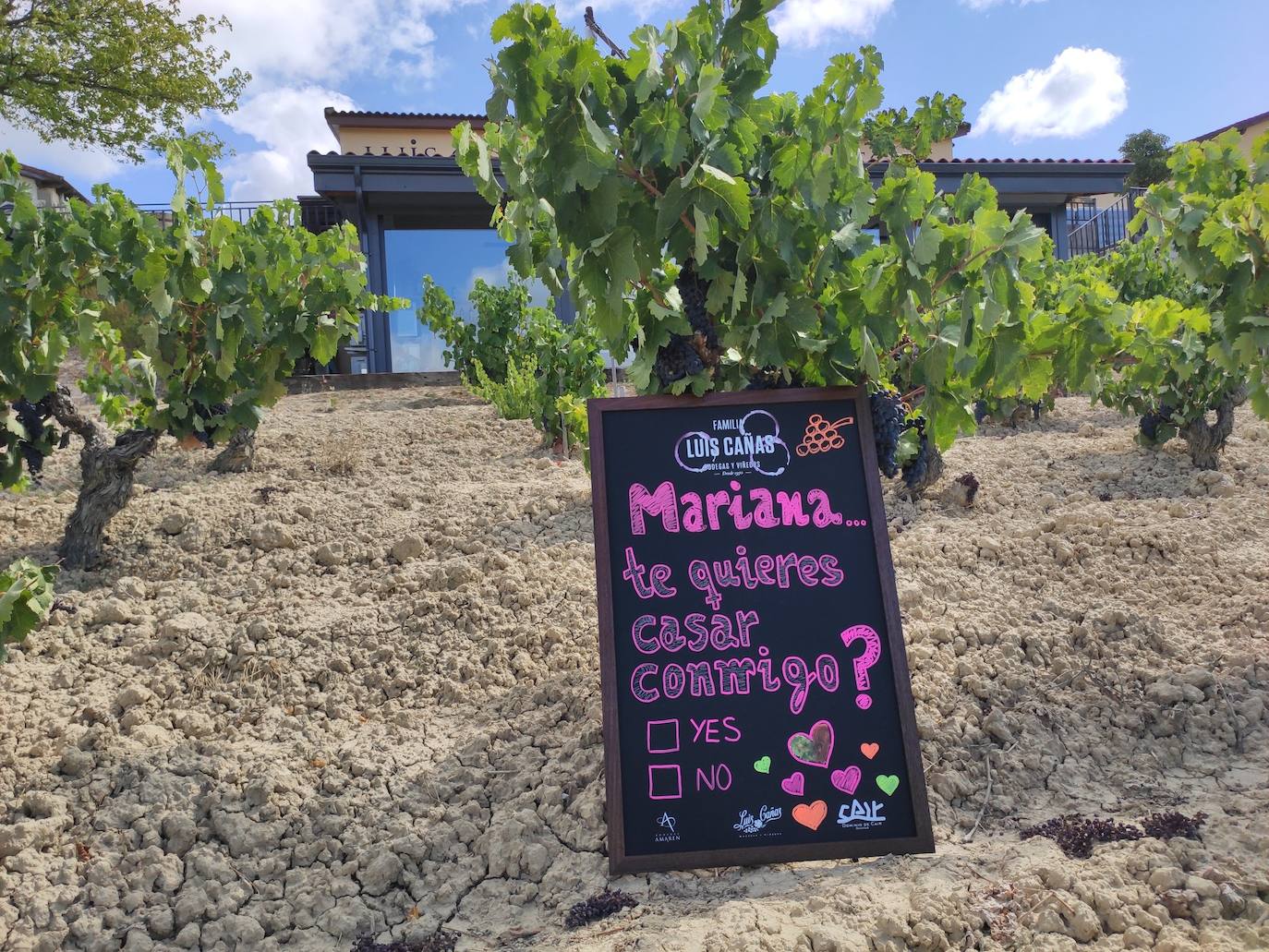 Luis Gabriel Paulín sorprendió a su novia Mariana durante una reciente visita a la popular bodega de Villabuena de Álava