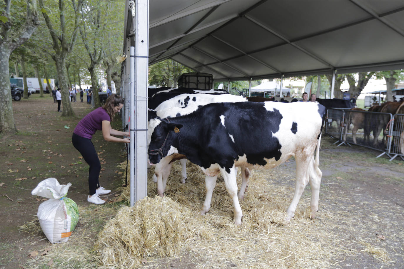 Fotos: La feria agrícola de Muskiz reúne 90 puestos