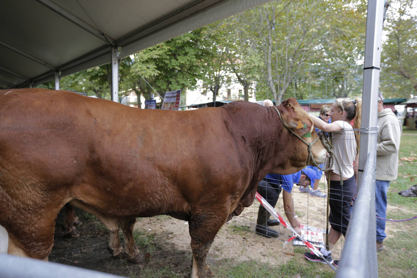 Fotos: La feria agrícola de Muskiz reúne 90 puestos