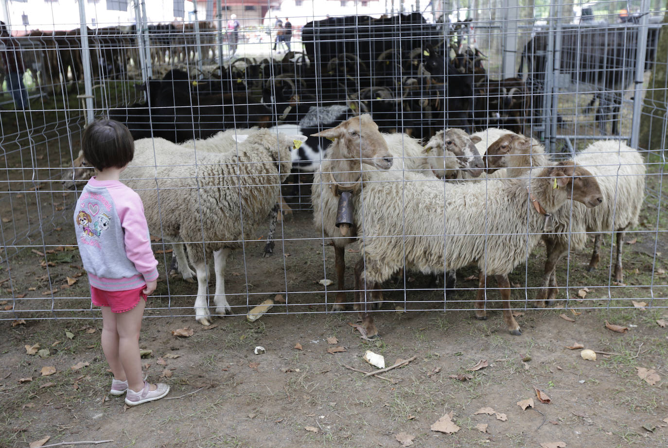 Fotos: La feria agrícola de Muskiz reúne 90 puestos