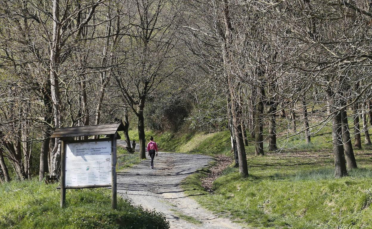 Imagen de uno de los tramos de la subida a Malmasín. 