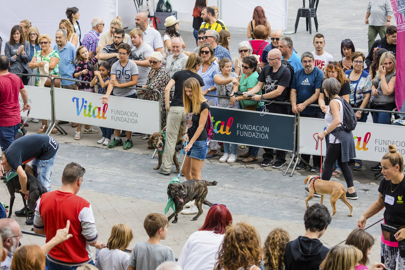 La protectora ApaSOS organiza una pasarela con 18 canes que buscan casas de acogida para salir de las jaulas del centro de Armentia