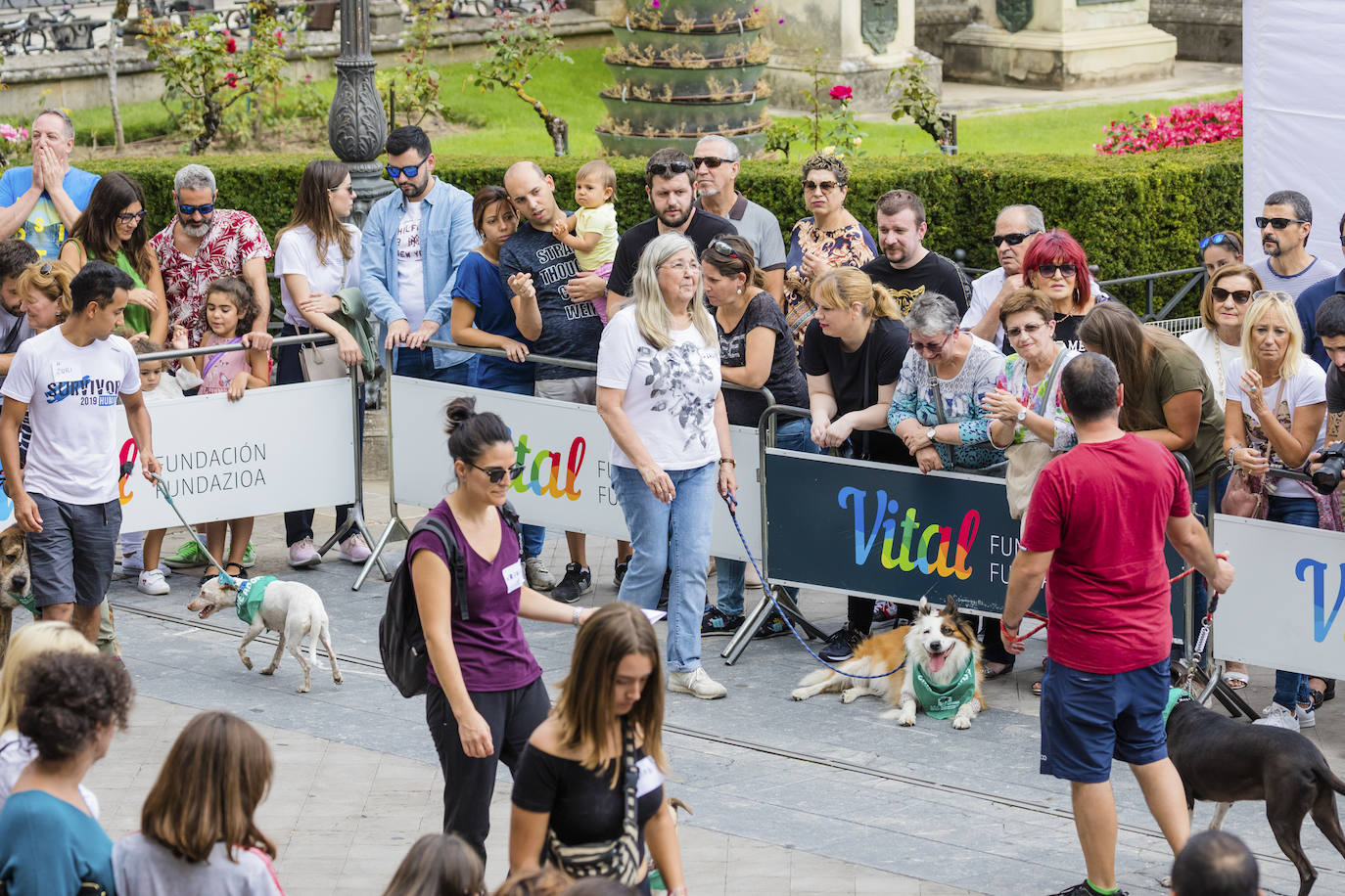 La protectora ApaSOS organiza una pasarela con 18 canes que buscan casas de acogida para salir de las jaulas del centro de Armentia