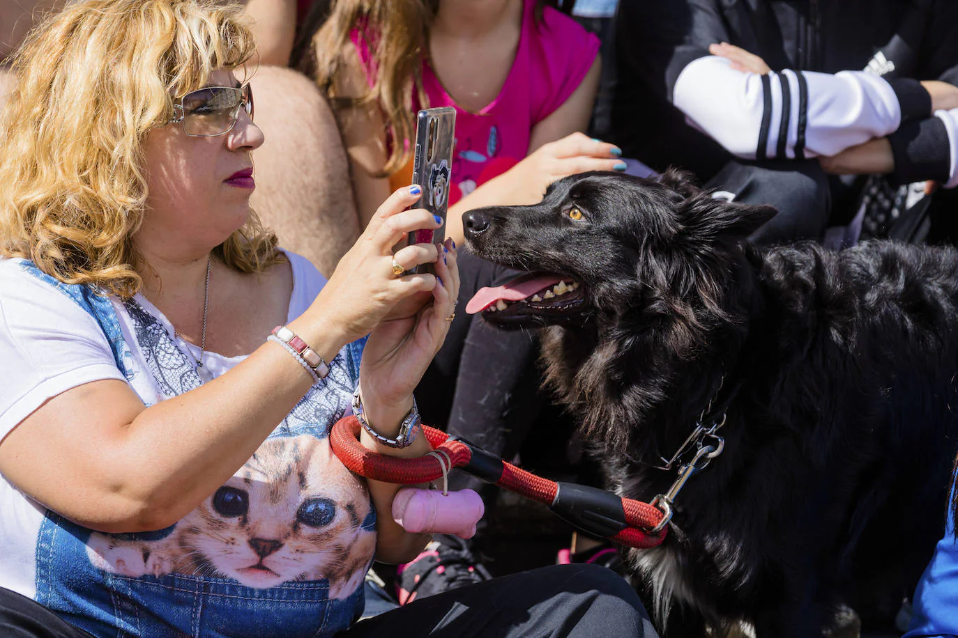 La protectora ApaSOS organiza una pasarela con 18 canes que buscan casas de acogida para salir de las jaulas del centro de Armentia