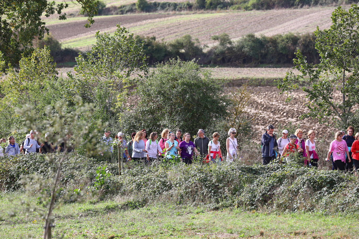 La popular cita ha reunido este año a cerca de dos mil participantes en un recorrido cargado de buen ambiente por el parque de Olárizu. Todo lo recaudado a través de las inscripciones para esta prueba que nació en 2012, coincidiendo con el reinado de Vitoria como 'Green Capital', irá destinado a la agencia de colocación de parados que Cáritas tiene en el barrio de Zaramaga.