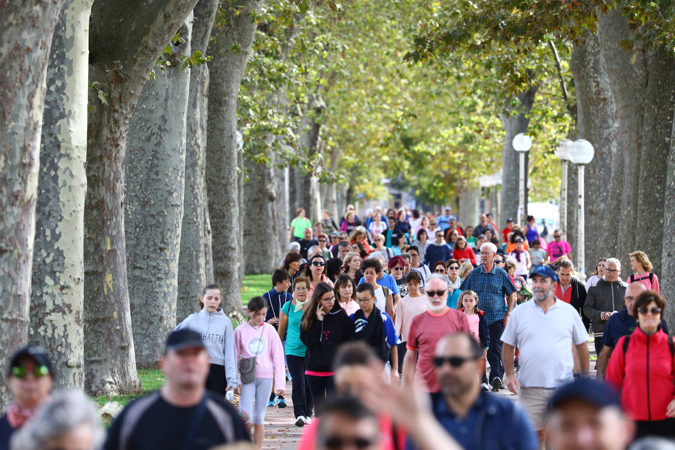 La popular cita ha reunido este año a cerca de dos mil participantes en un recorrido cargado de buen ambiente por el parque de Olárizu. Todo lo recaudado a través de las inscripciones para esta prueba que nació en 2012, coincidiendo con el reinado de Vitoria como 'Green Capital', irá destinado a la agencia de colocación de parados que Cáritas tiene en el barrio de Zaramaga.