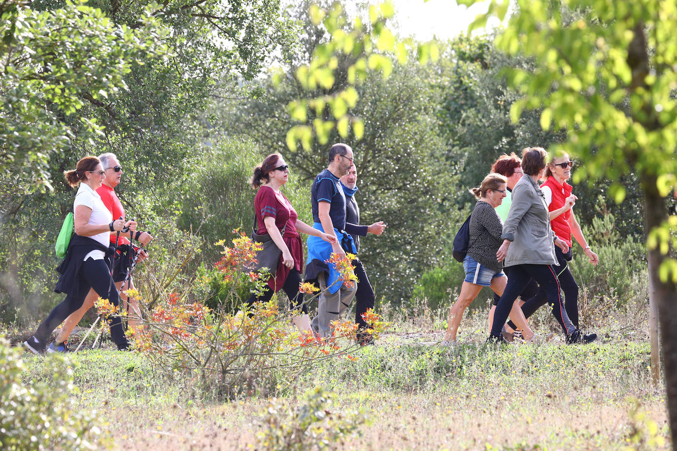 La popular cita ha reunido este año a cerca de dos mil participantes en un recorrido cargado de buen ambiente por el parque de Olárizu. Todo lo recaudado a través de las inscripciones para esta prueba que nació en 2012, coincidiendo con el reinado de Vitoria como 'Green Capital', irá destinado a la agencia de colocación de parados que Cáritas tiene en el barrio de Zaramaga.