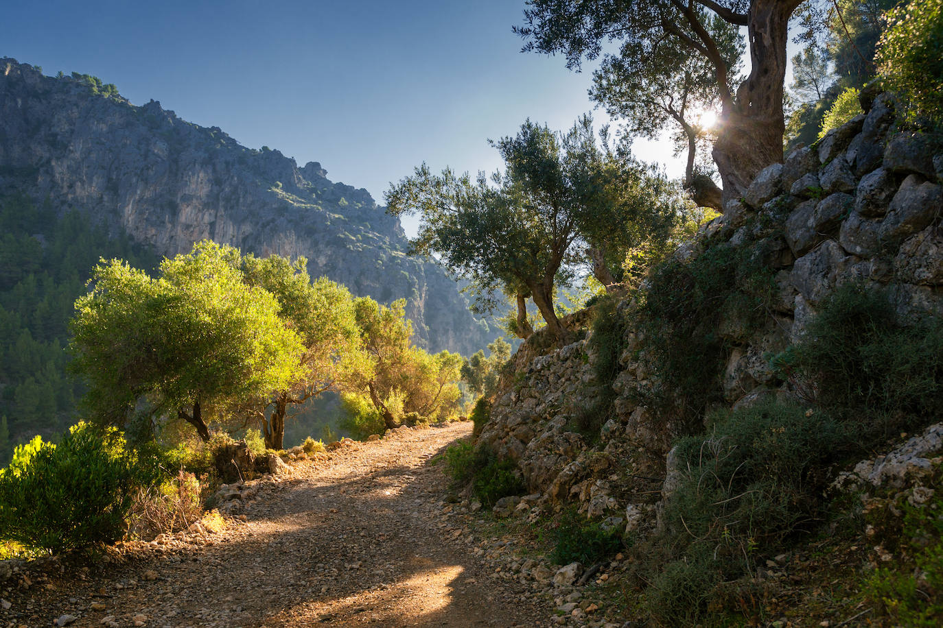 Sierra Tramuntana