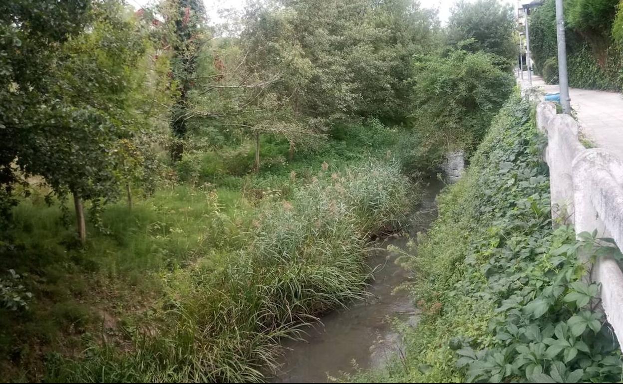 Estado del río Gobela a su paso por Neguri Langile.