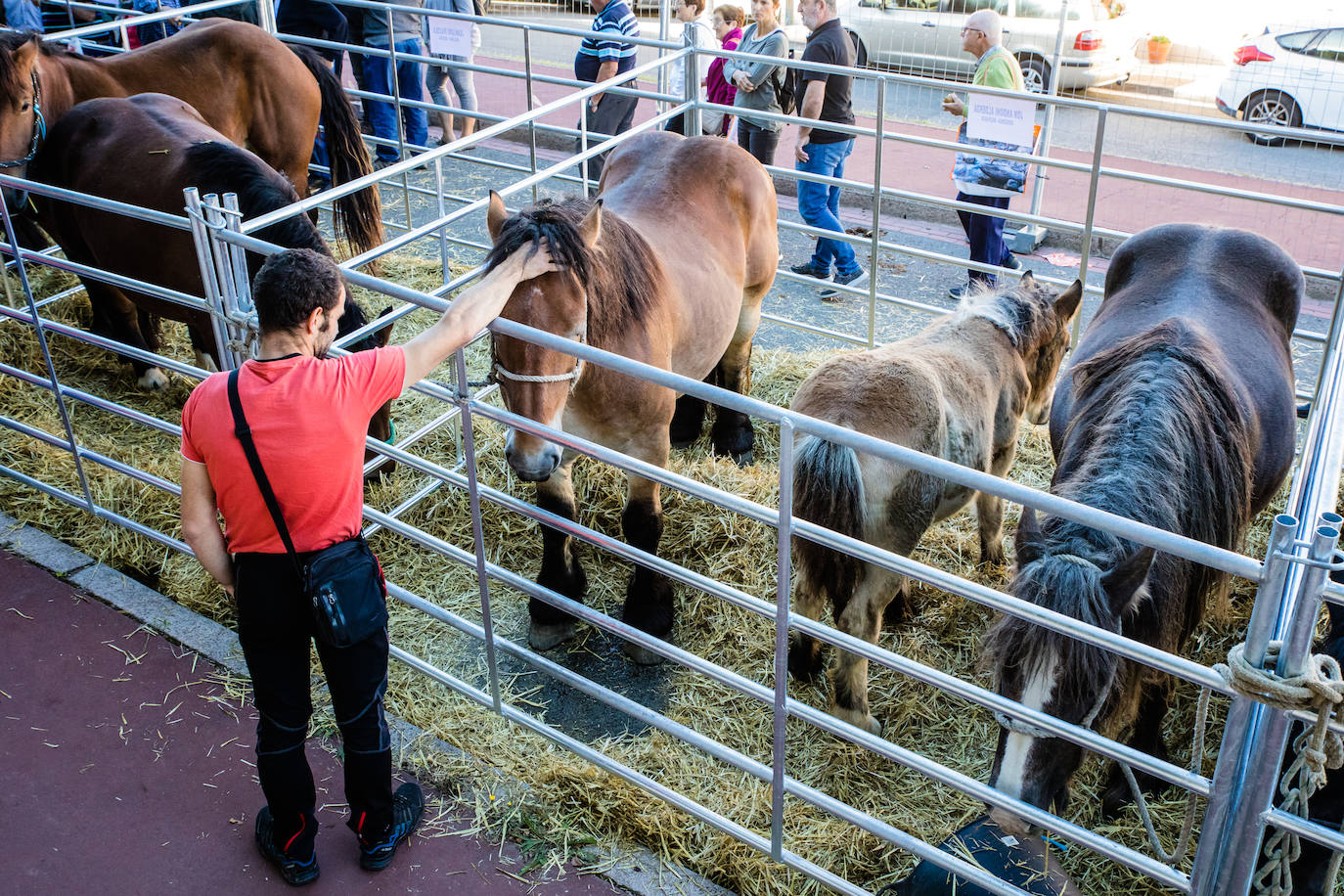 Fotos: Salvatierra vuelve a celebrar su tradicional feria