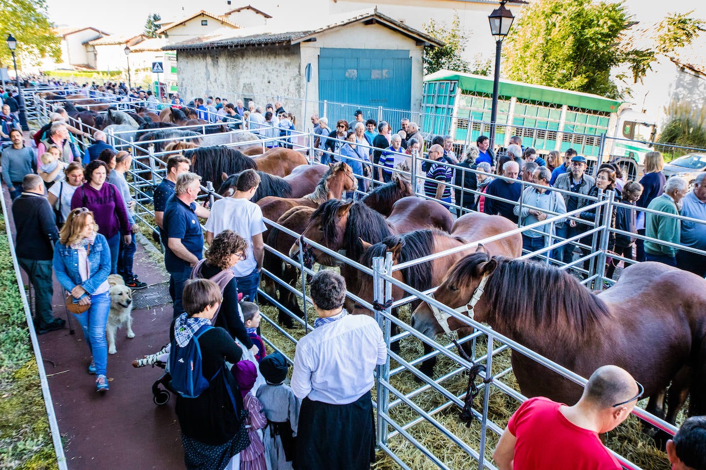 Fotos: Salvatierra vuelve a celebrar su tradicional feria