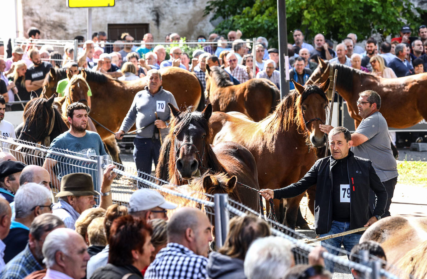 Fotos: Salvatierra vuelve a celebrar su tradicional feria