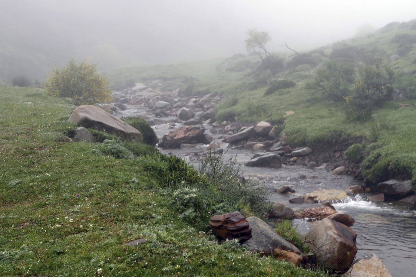 Fotos: El parque natural de Saja-Besaya, la joya de Cantabria