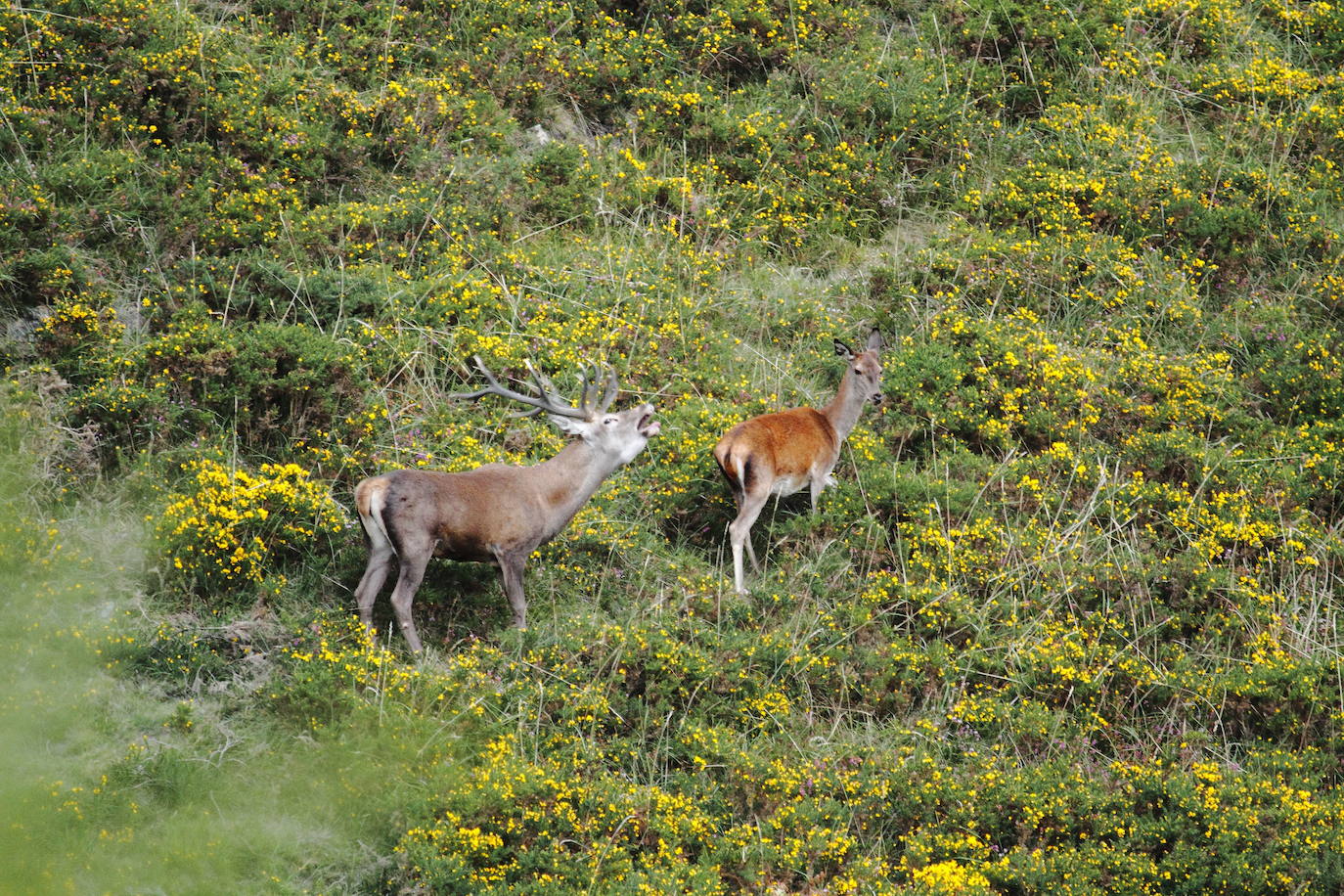 Fotos: El parque natural de Saja-Besaya, la joya de Cantabria
