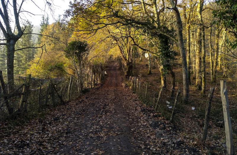 Fotos: Una mañana cualquiera en el Eretza