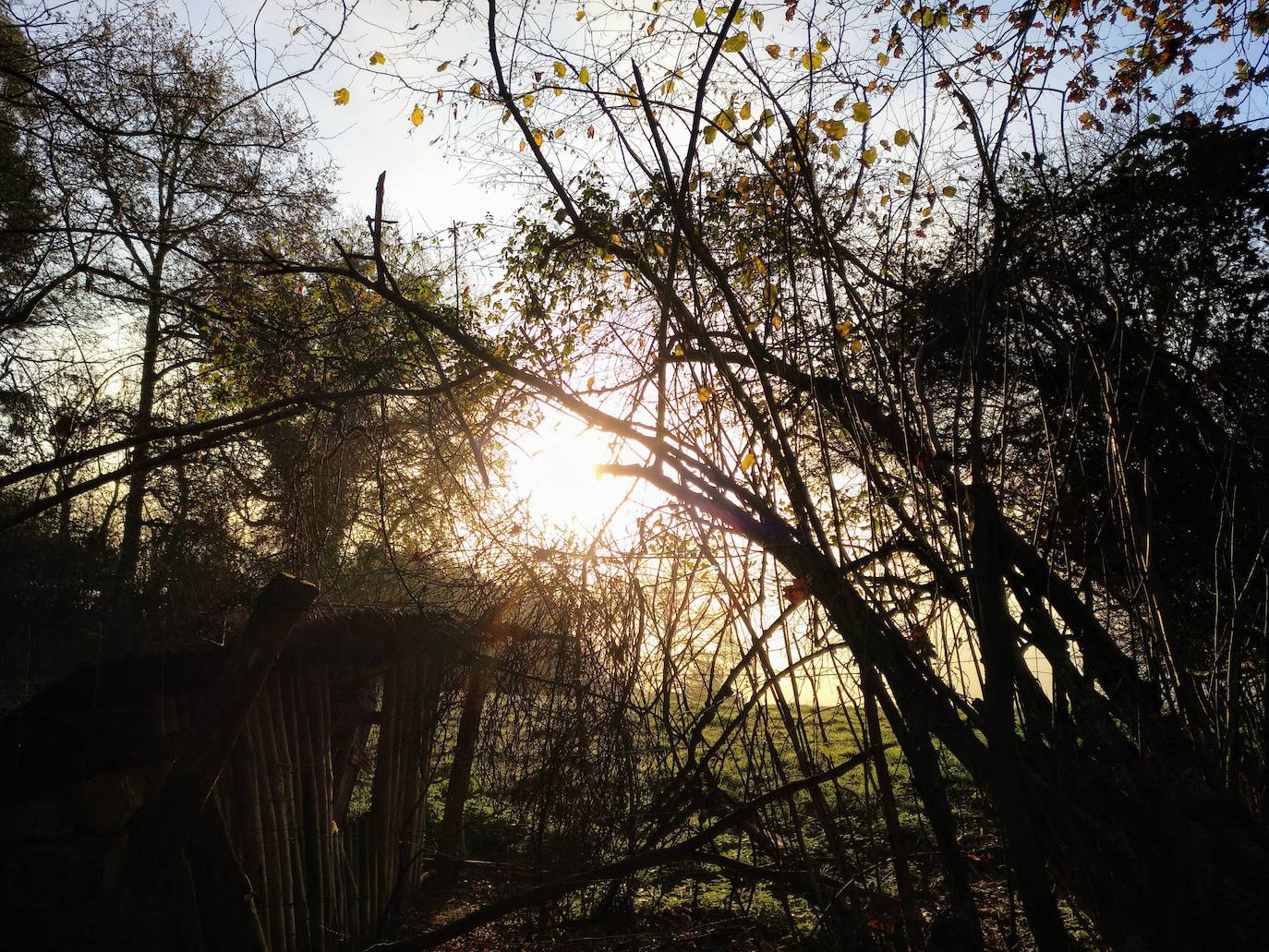 La subida a uno de los grandes clásicos de la Margen Izquierda ofrece unos paisajes de enorme belleza. Optamos por una ruta no tan frecuentada como la que parte desde El Regato o desde Cruces. Salimos desde Sodupe para llegar a la cima, a 887 metros de altitud, en unas dos horas. La bajada, siguiendo el arroyo por el Grazal, una delicia. 