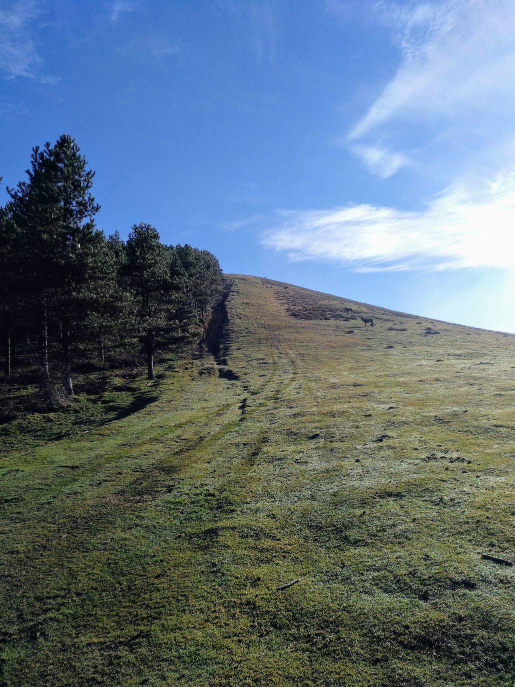 La subida a uno de los grandes clásicos de la Margen Izquierda ofrece unos paisajes de enorme belleza. Optamos por una ruta no tan frecuentada como la que parte desde El Regato o desde Cruces. Salimos desde Sodupe para llegar a la cima, a 887 metros de altitud, en unas dos horas. La bajada, siguiendo el arroyo por el Grazal, una delicia. 