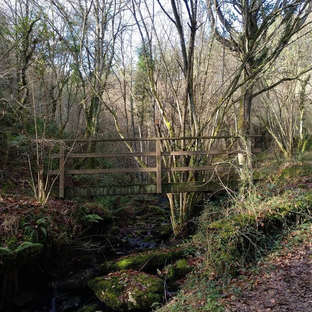 La subida a uno de los grandes clásicos de la Margen Izquierda ofrece unos paisajes de enorme belleza. Optamos por una ruta no tan frecuentada como la que parte desde El Regato o desde Cruces. Salimos desde Sodupe para llegar a la cima, a 887 metros de altitud, en unas dos horas. La bajada, siguiendo el arroyo por el Grazal, una delicia. 