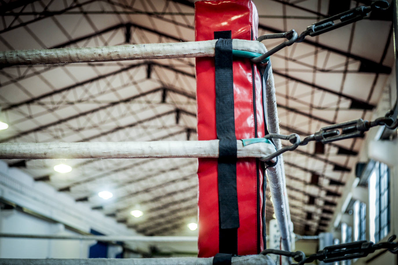 Con puño de hierro y guante de cuero, el gimnasio de Andoni Alonso, que no desentonaría para nada en Brooklyn, es el gran templo de los devotos del boxeo en Vitoria