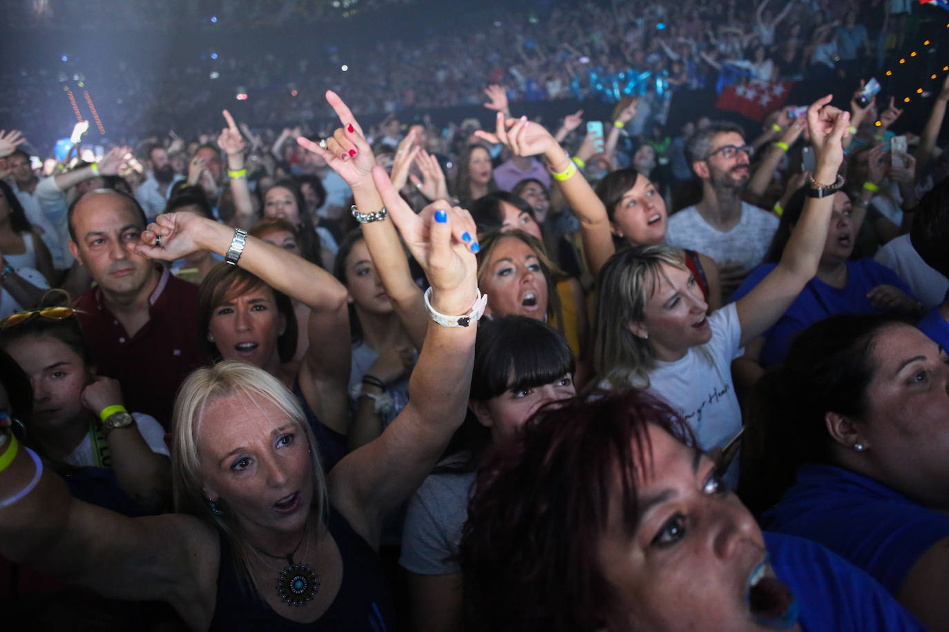 Bisbal, durante el concierto.