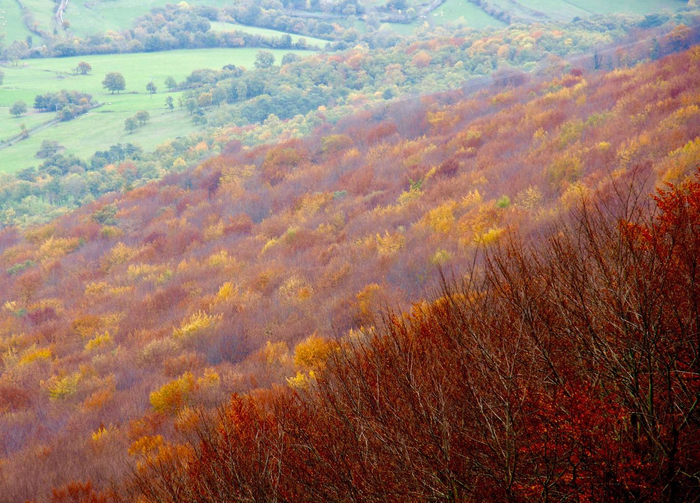 Fotos: El Tologorri, un monte de calendario