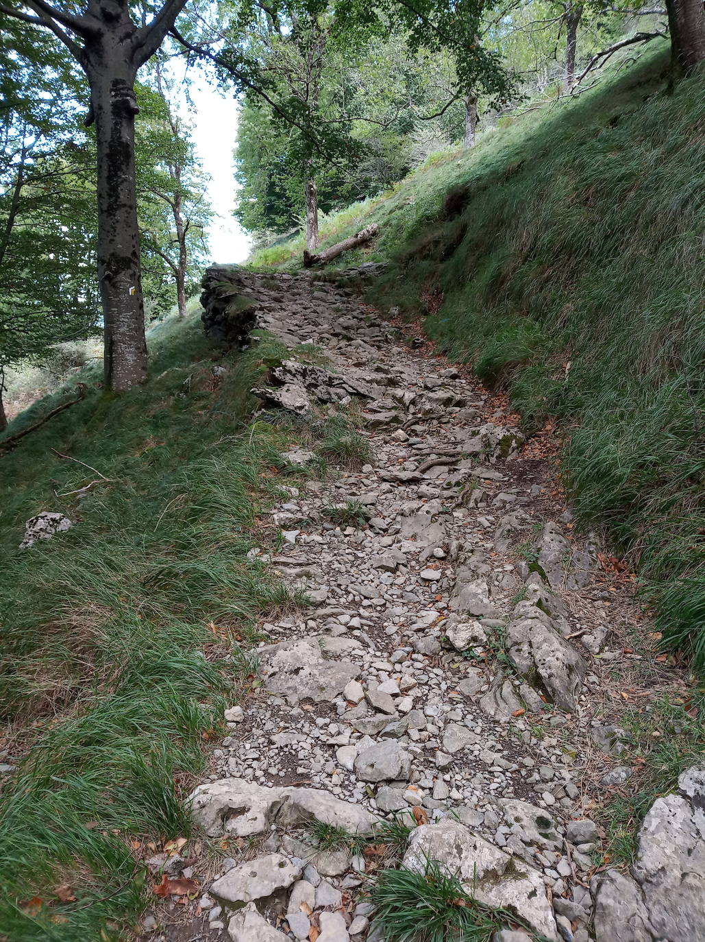 Fotos: Hayedo de Upo (cima: Upo)