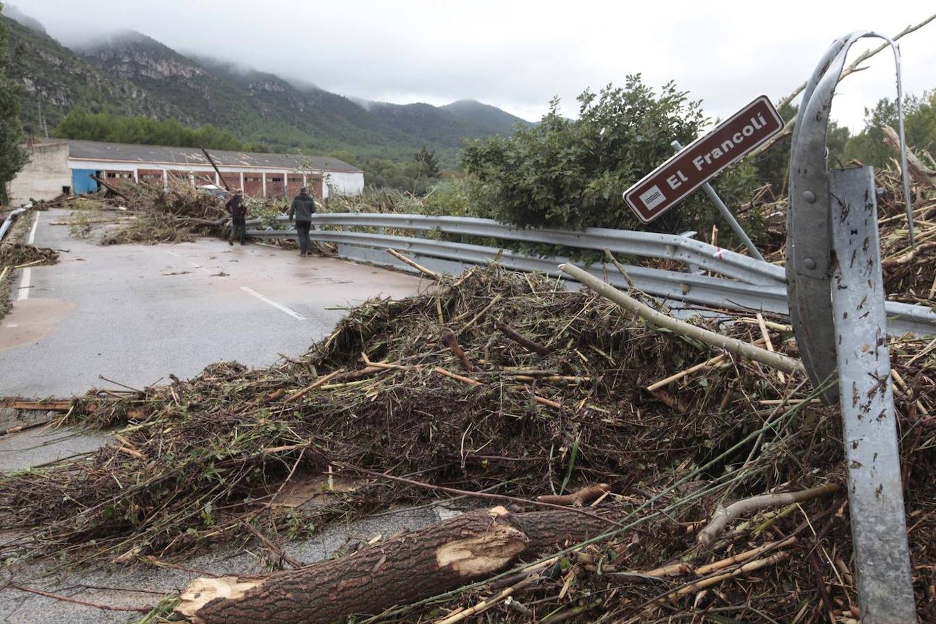 El puente de Vilaverd (Tarragona) cortado tras la caída de árboles