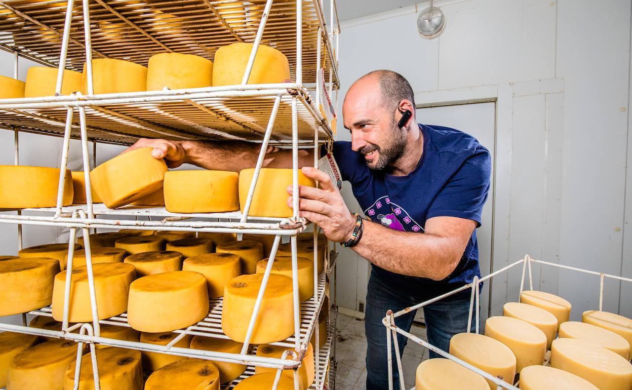 Gorka Asurmendi inspecciona sus creaciones en la quesería Azkarra, situada en Galarreta. 