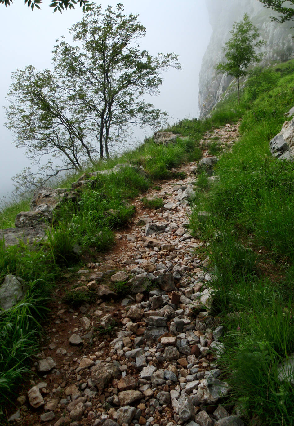 El ascenso a la localidad cántabra ofrece un paiseje espectacular con vistas a los Picos de Europa. Una ruta con una gran pendiente pero perfecta para disfrutar. No te la pierdas