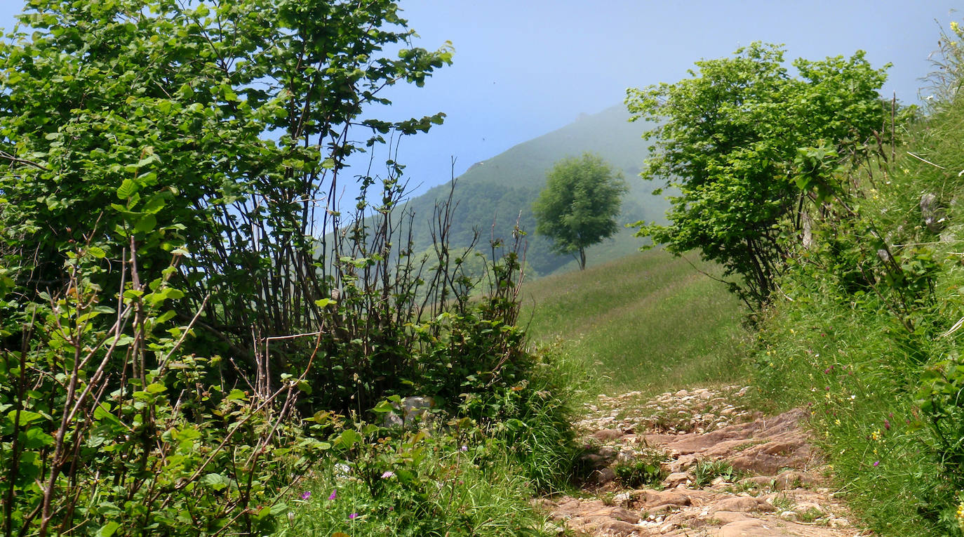 El ascenso a la localidad cántabra ofrece un paiseje espectacular con vistas a los Picos de Europa. Una ruta con una gran pendiente pero perfecta para disfrutar. No te la pierdas