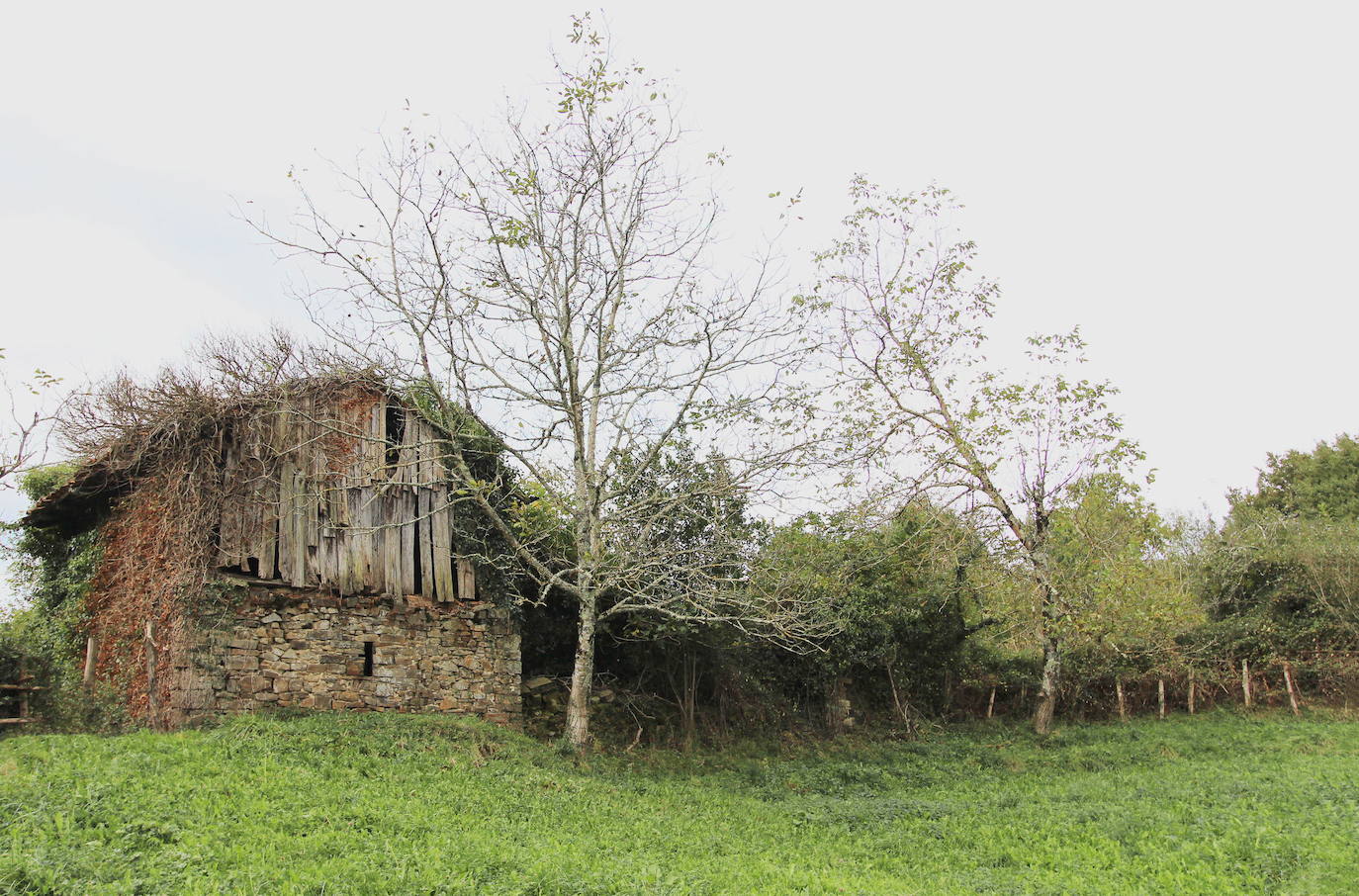 Fotos: Una ruta por Zeberio y sus ermitas