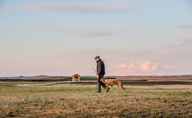 Lera recorre los campos junto a su galgo.