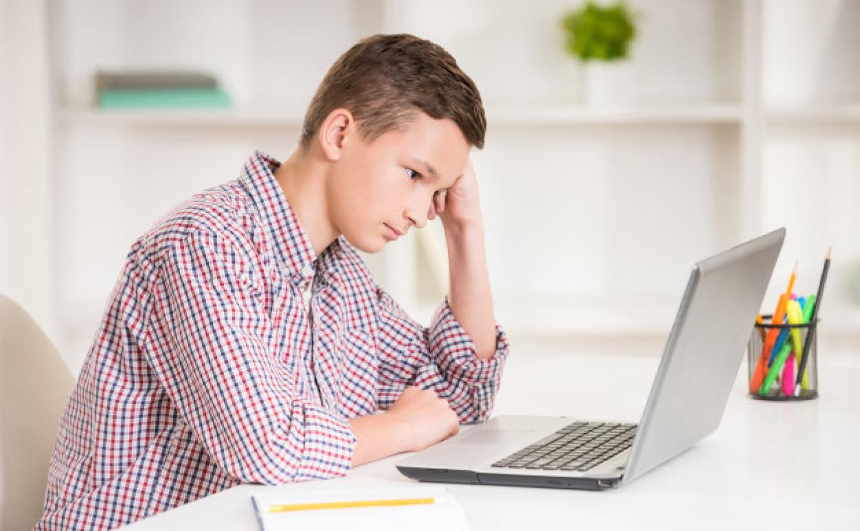 Los portátiles, ideales para el ámbito académico 