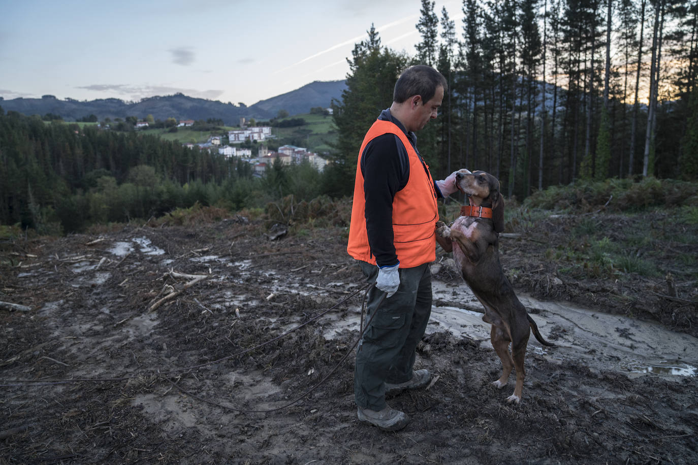 Batida de jabalís en la mancha de Larruskain-Kalamua organizada el pasado fin de semana. Una veintena de cazadores peinan con sus sabuesos los montes que rodean Berriz, Mallabia y Markina. El rastreo se prolonga durante horas por un terreno accidentado de argomas y helechos