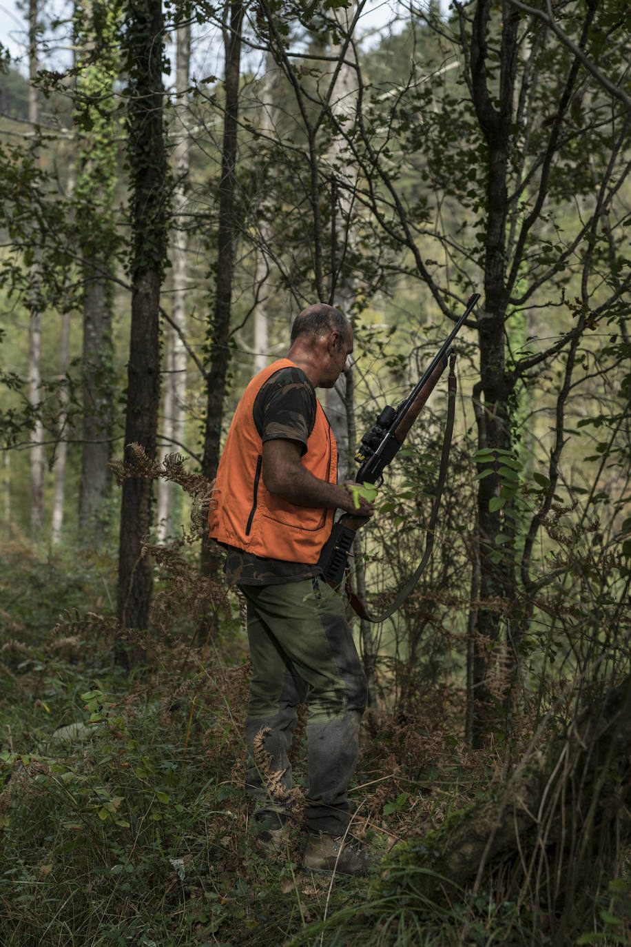 Batida de jabalís en la mancha de Larruskain-Kalamua organizada el pasado fin de semana. Una veintena de cazadores peinan con sus sabuesos los montes que rodean Berriz, Mallabia y Markina. El rastreo se prolonga durante horas por un terreno accidentado de argomas y helechos