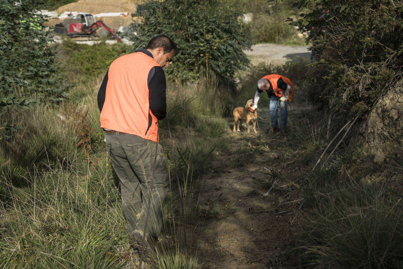 Batida de jabalís en la mancha de Larruskain-Kalamua organizada el pasado fin de semana. Una veintena de cazadores peinan con sus sabuesos los montes que rodean Berriz, Mallabia y Markina. El rastreo se prolonga durante horas por un terreno accidentado de argomas y helechos