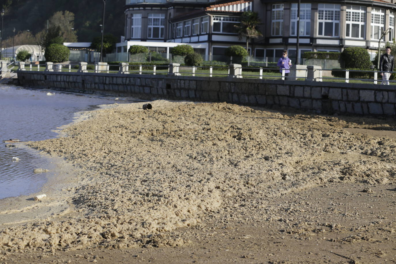 Fotos: Las imágenes del viento en Bizkaia