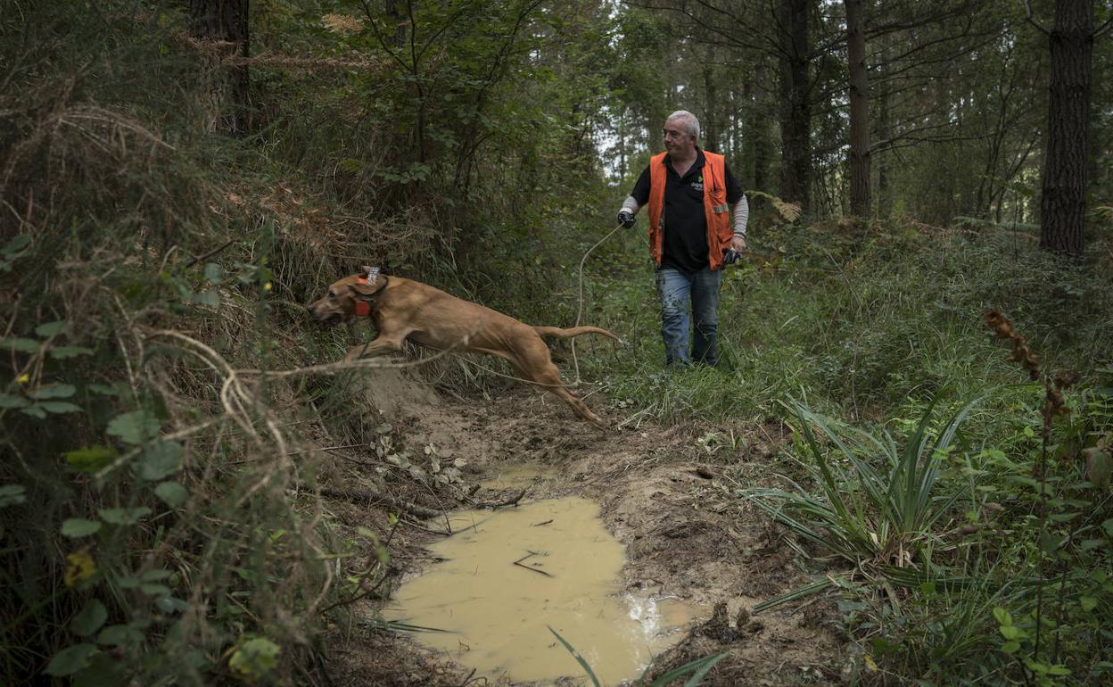40.000 euros en indemnizaciones por daños