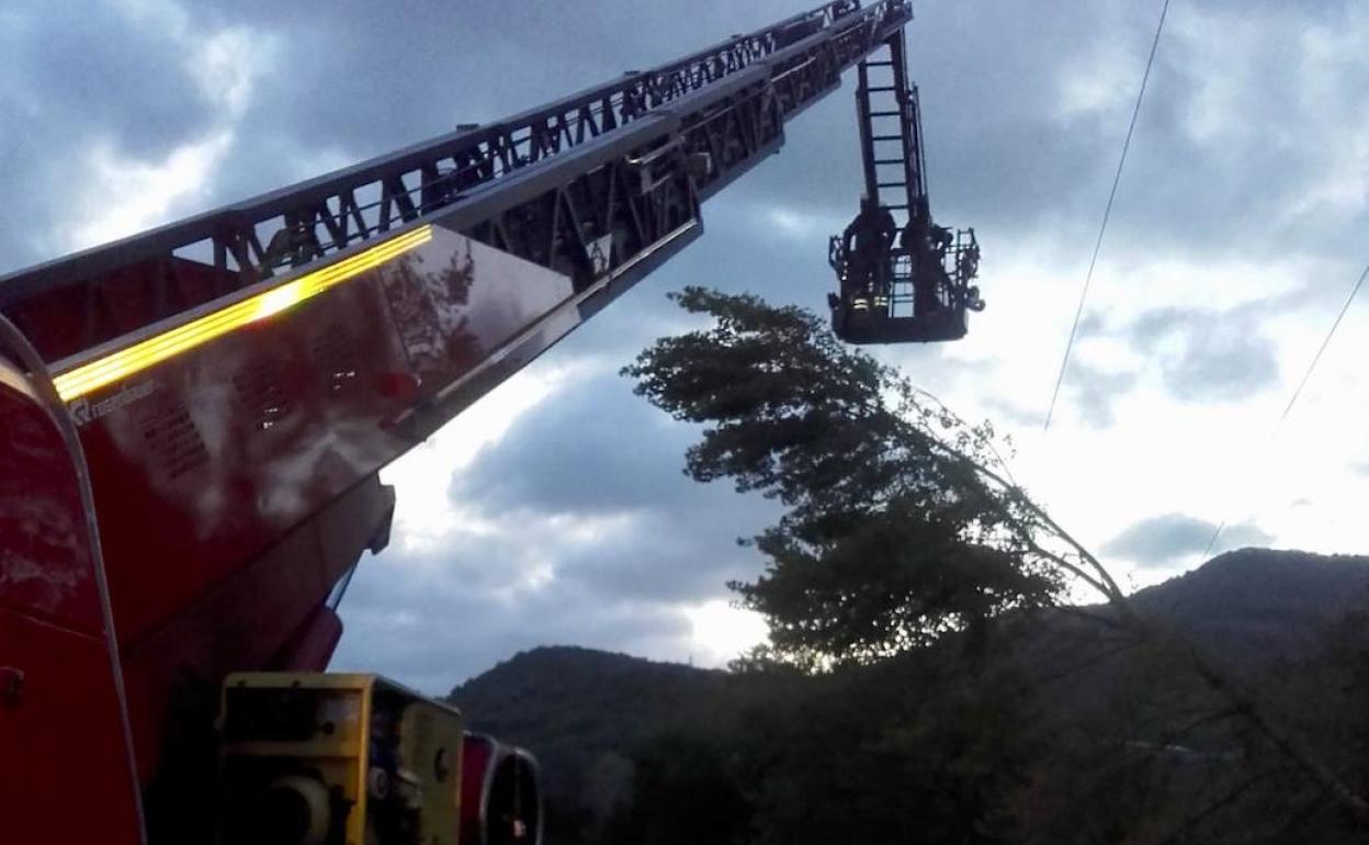 Los bomberos han tenido que retirar un árbol que había caído sobre el tendido eléctrico en Artziniega.