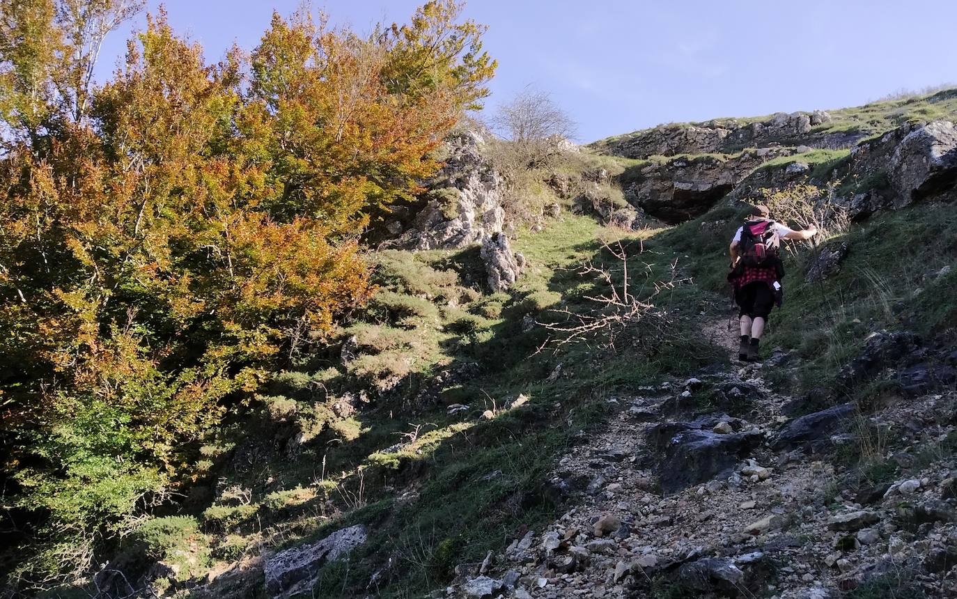 El camino hacia Peña Roja