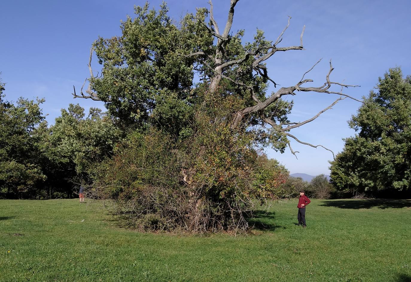 Paisaje de la reserva de Arimotxe