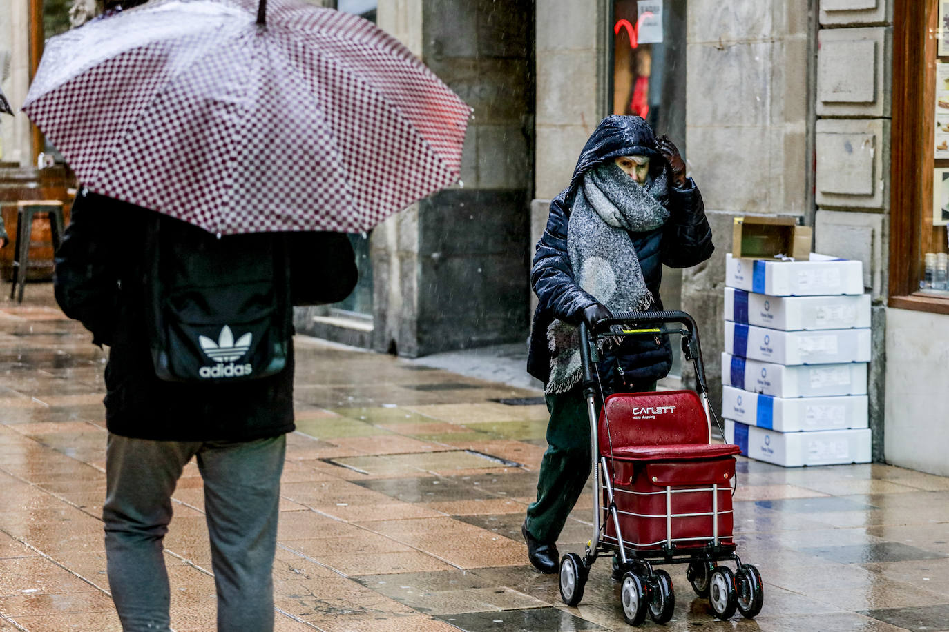 Fotos: Primeras nieves y persistentes lluvias en Álava