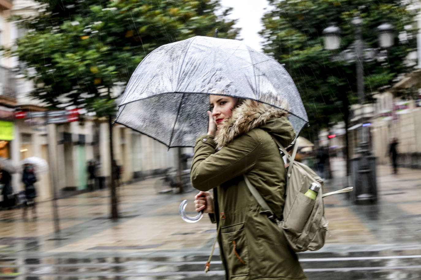 Fotos: Primeras nieves y persistentes lluvias en Álava