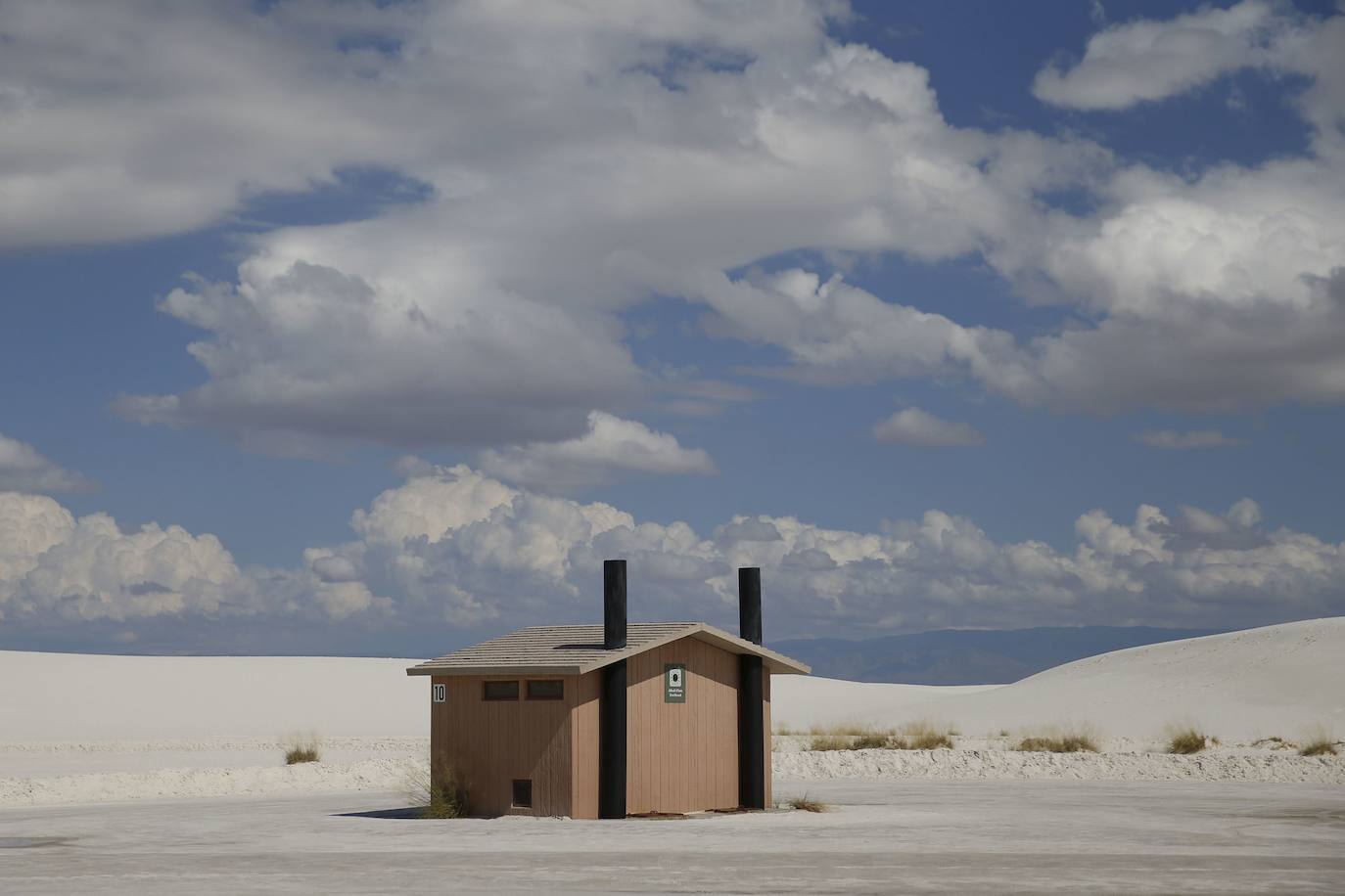 Rodeado de arena blanca en el área del parque Monumento Nacional White Sands, en Nuevo México, Estados Unidos.