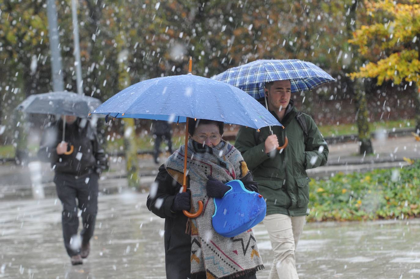 En Vitoria, también han caído los primeros copos.
