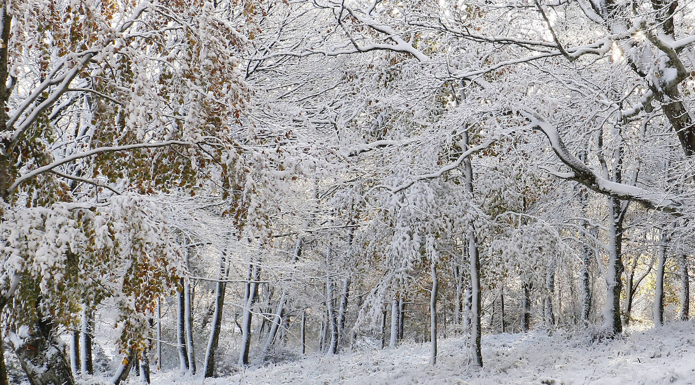 Fotos: Estampas que deja hoy la nieve en Herrera