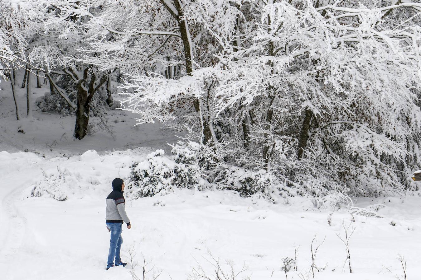 Fotos: Estampas invernales en los puertos alaveses