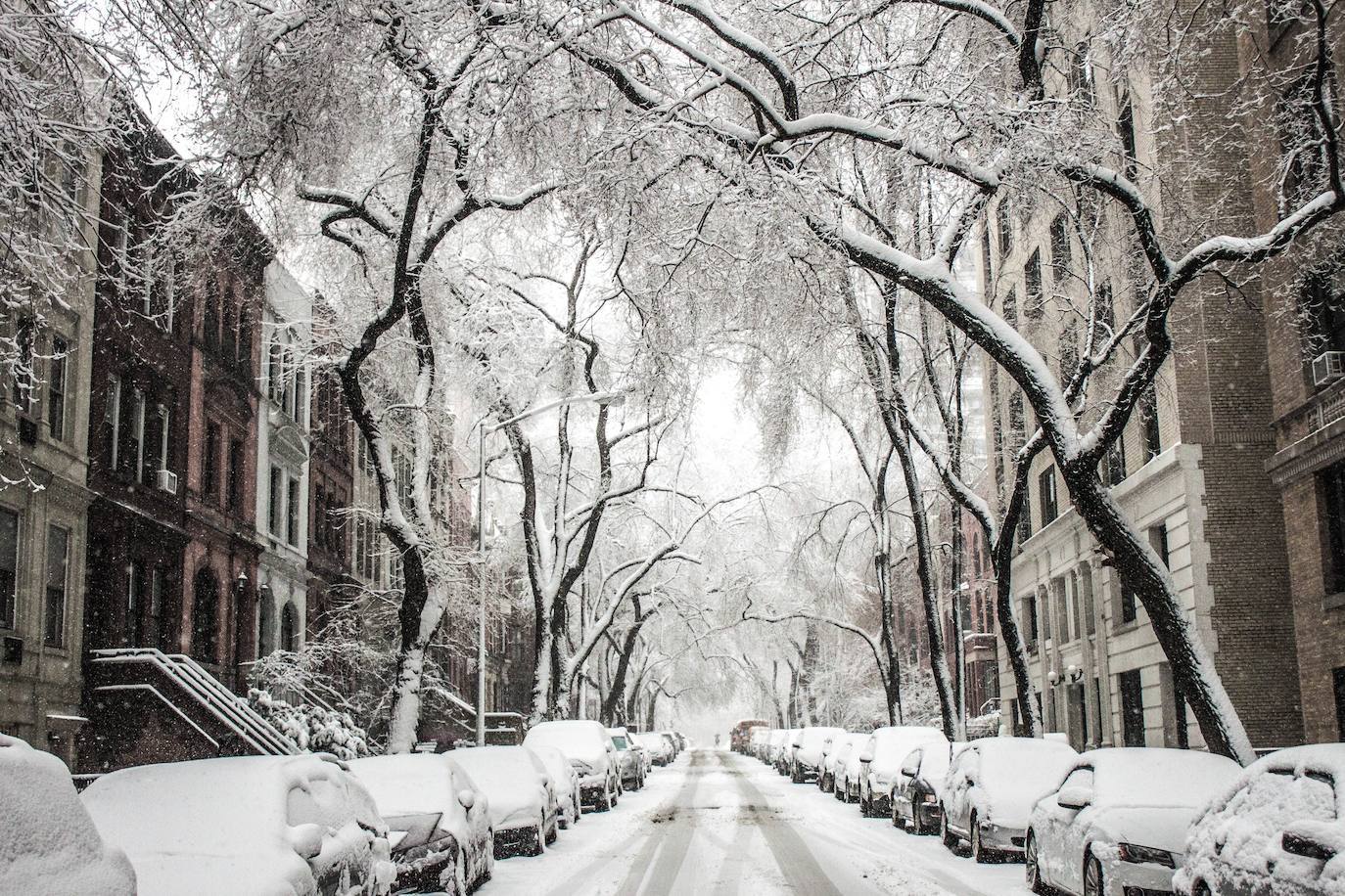 Nueva York (Estados Unidos).