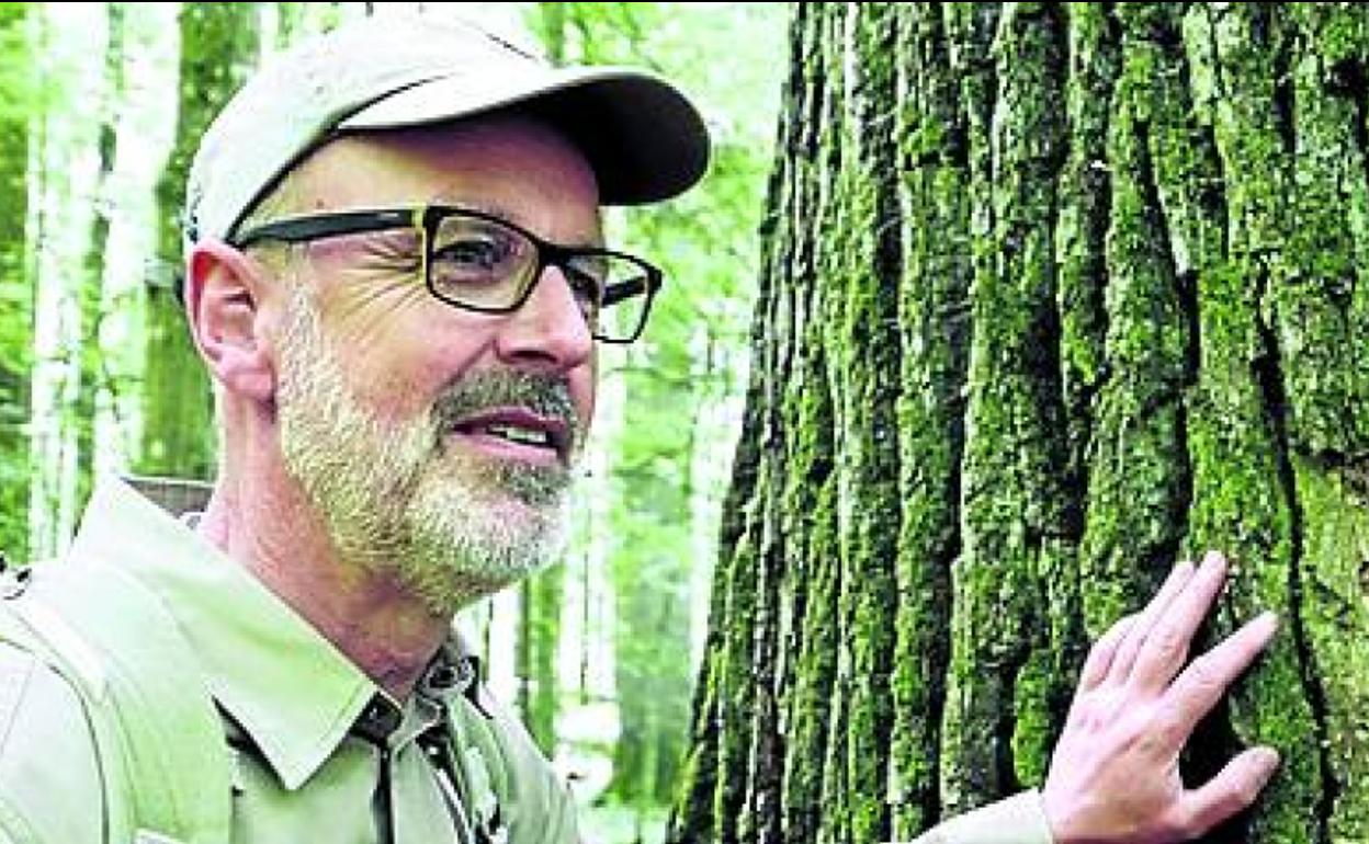 Crítica de 'La vida secreta de los árboles' (2020): El árbol de la vida