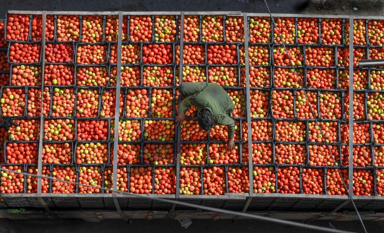 Un trabajador organiza las cajas de tomates en un mercado en Lahore (Pakistán).